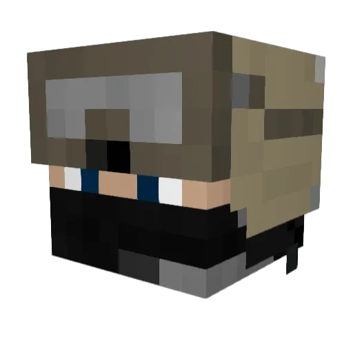plex2017 Minecraft avatar head, 3D render