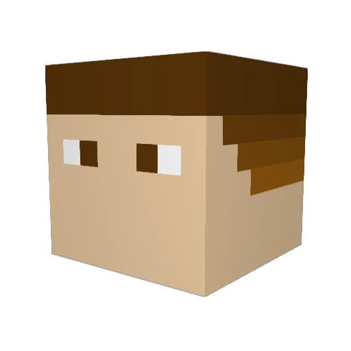 pleximusprime Minecraft avatar head, 3D render