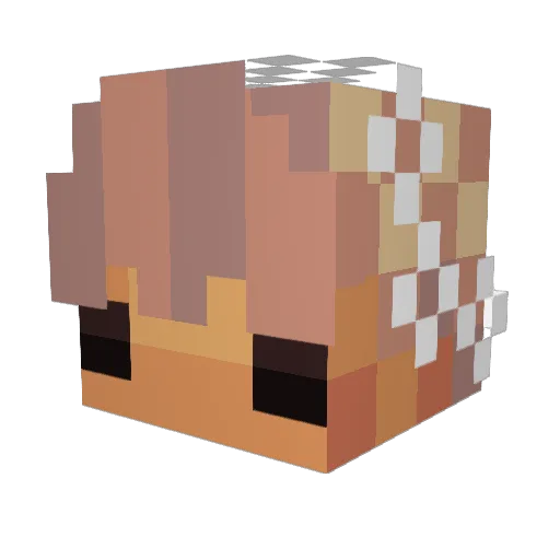 plexrider Minecraft avatar head, 3D render