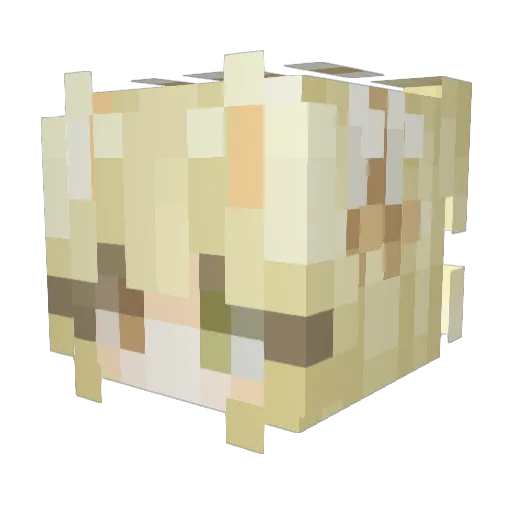 pliant_ Minecraft avatar head, 3D render