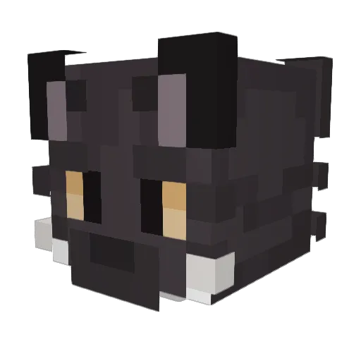 plinkmaster_ Minecraft avatar head, 3D render