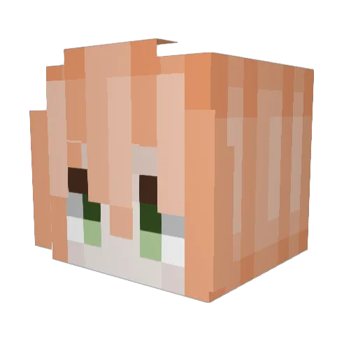 plixxn Minecraft avatar head, 3D render