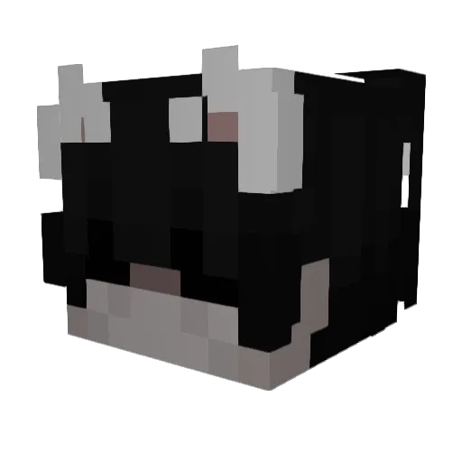 plokye Minecraft avatar head, 3D render