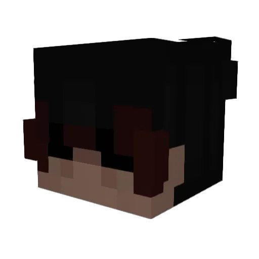 plonejaknether Minecraft avatar head, 3D render
