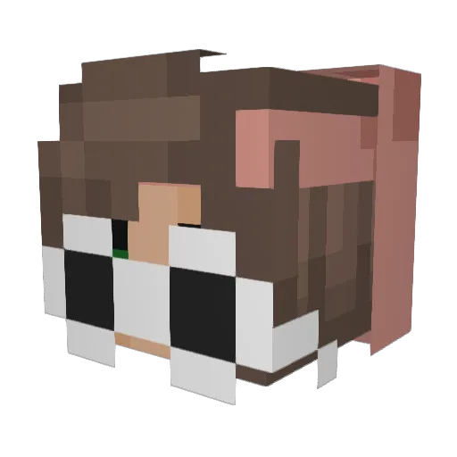 plonkaj Minecraft avatar head, 3D render