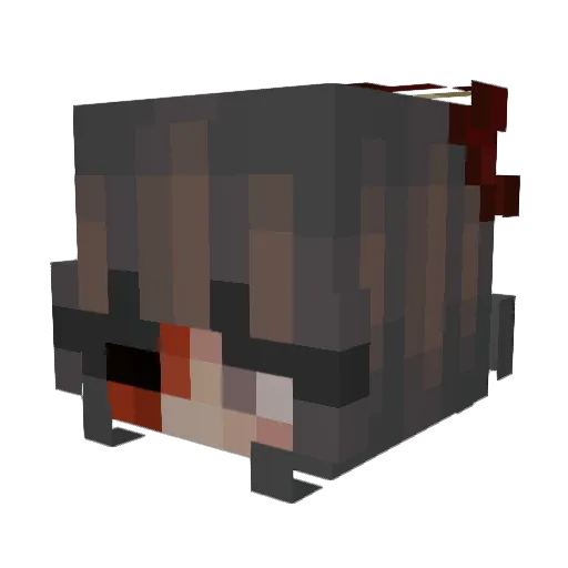 ploofle_ Minecraft avatar head, 3D render