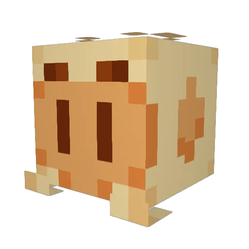 plooshy1 Minecraft avatar head, 3D render