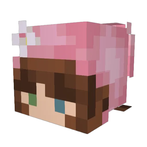 ploosnar Minecraft avatar head, 3D render