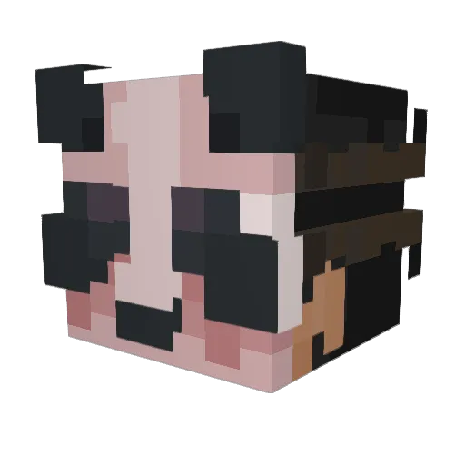plopers1235 Minecraft avatar head, 3D render