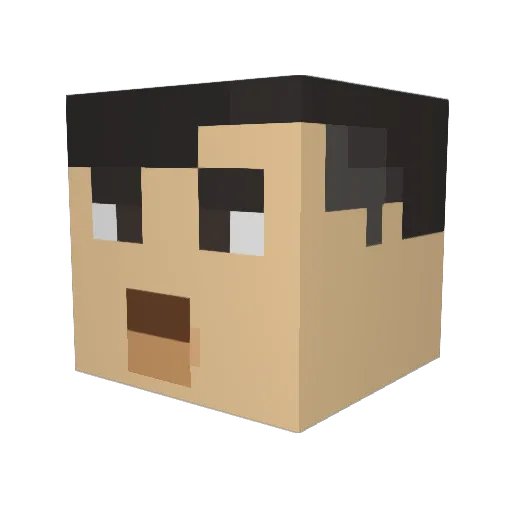 plopwashere Minecraft avatar head, 3D render