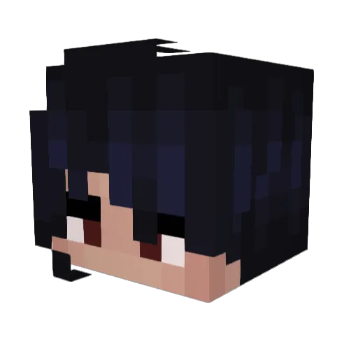 plot96 Minecraft avatar head, 3D render