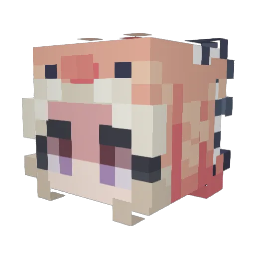 plotstop Minecraft avatar head, 3D render