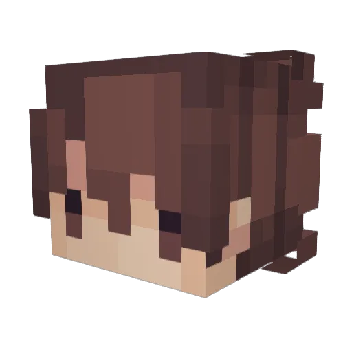plovka Minecraft avatar head, 3D render