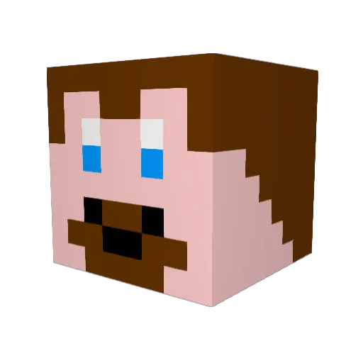 plowdude Minecraft avatar head, 3D render
