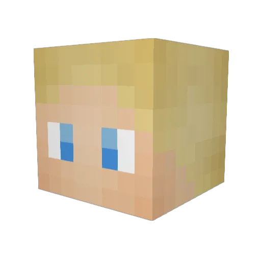pls4giveme Minecraft avatar head, 3D render