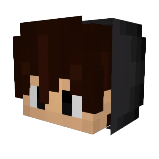 plsdontkickme Minecraft avatar head, 3D render