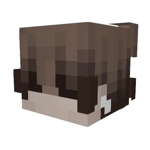 plsgimmesoju Minecraft avatar head, 3D render