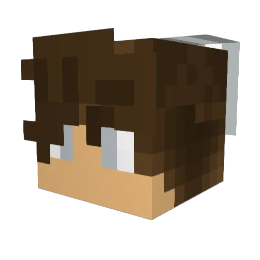 plskillurself Minecraft avatar head, 3D render