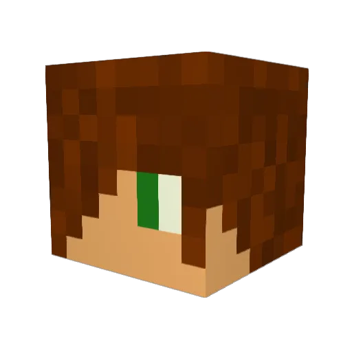 plspls25 Minecraft avatar head, 3D render