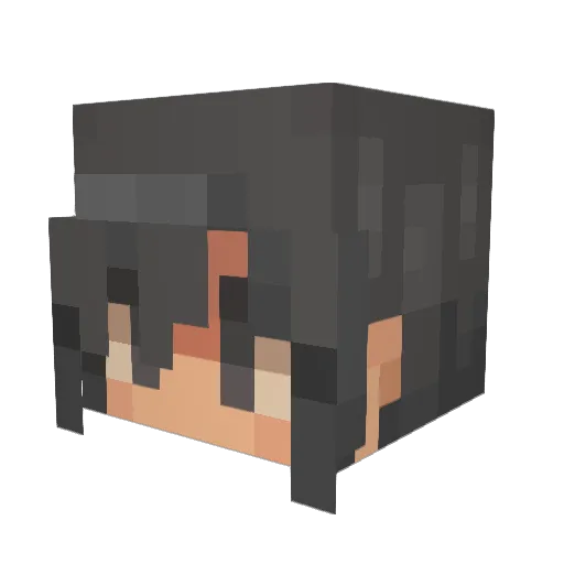 plsrecycle_ Minecraft avatar head, 3D render