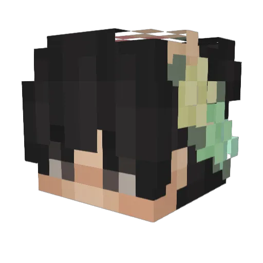 plssub_ Minecraft avatar head, 3D render
