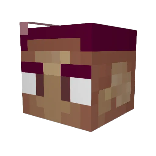 pluckE Minecraft avatar head, 3D render