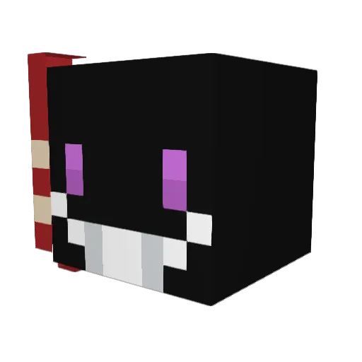 pluggnero Minecraft avatar head, 3D render