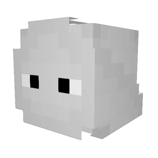 pluiti Minecraft avatar head, 3D render