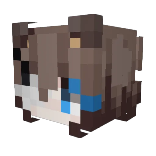 plumbcat Minecraft avatar head, 3D render