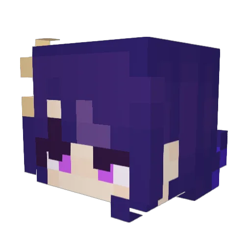 plummyyummy Minecraft avatar head, 3D render