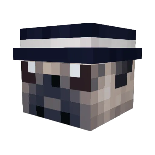plumpedupshorty Minecraft avatar head, 3D render