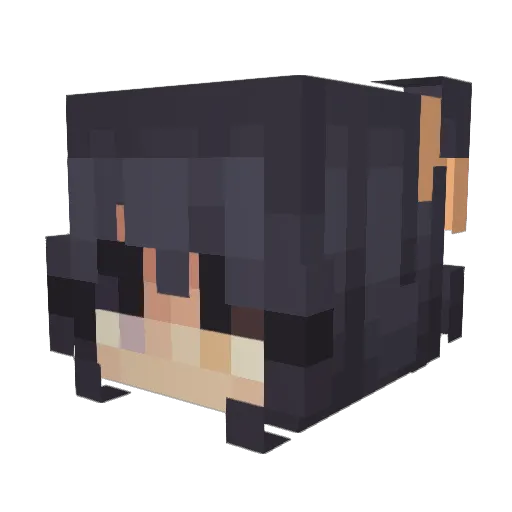 plumyomi Minecraft avatar head, 3D render