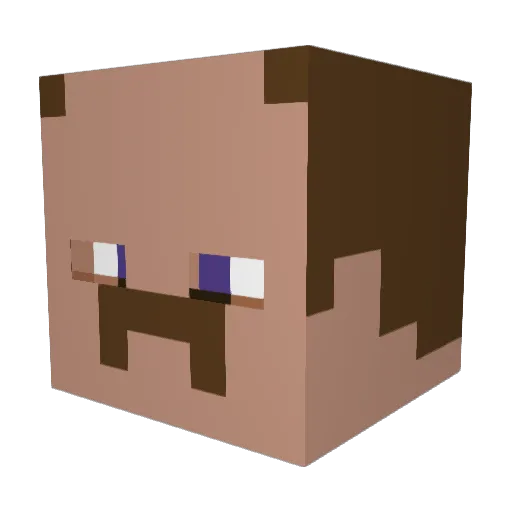 plundrshoe Minecraft avatar head, 3D render