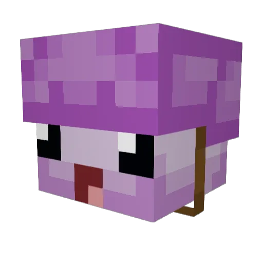 plurpleturtle Minecraft avatar head, 3D render