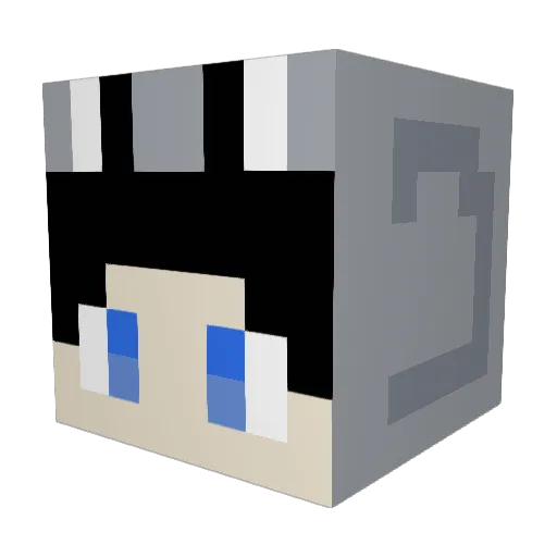 plus1120KR Minecraft avatar head, 3D render