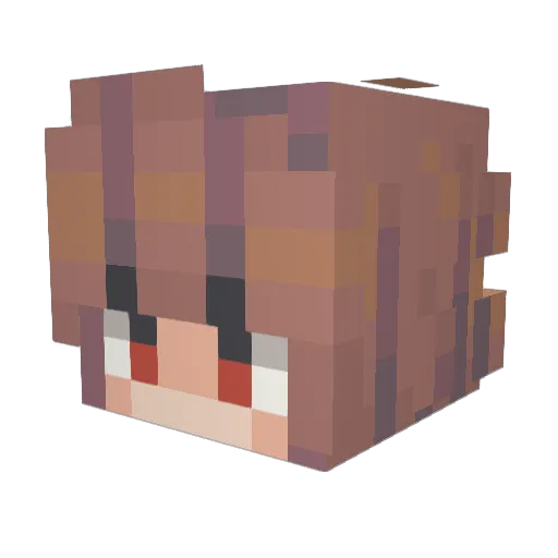 plusbot04 Minecraft avatar head, 3D render