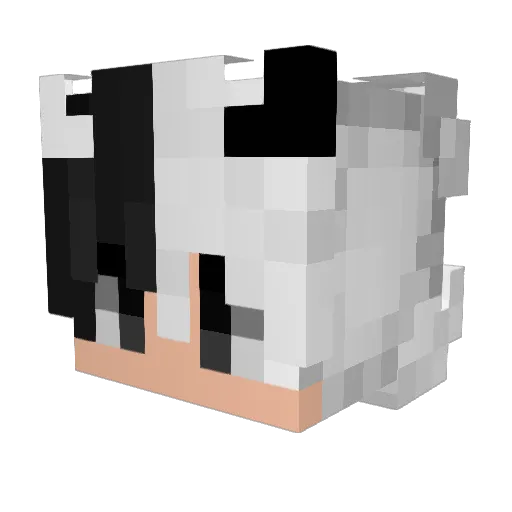 pluskwa__ Minecraft avatar head, 3D render