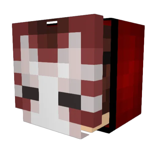 pluto237 Minecraft avatar head, 3D render