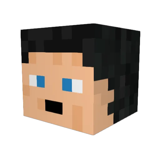 pluto353 Minecraft avatar head, 3D render