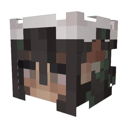 pluto364 Minecraft avatar head, 3D render