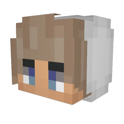 pluto_returns Minecraft avatar head, 3D render