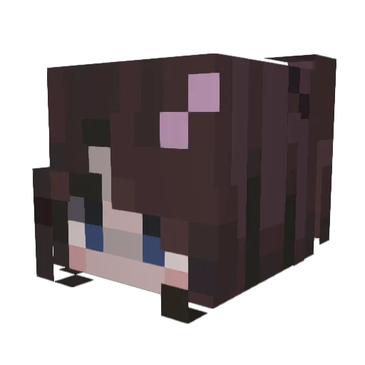 plutoflower Minecraft avatar head, 3D render