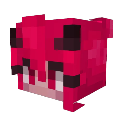 plutoisburning Minecraft avatar head, 3D render