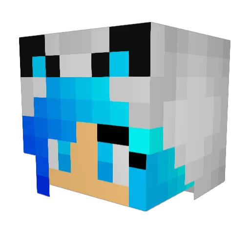 plutopup98 Minecraft avatar head, 3D render