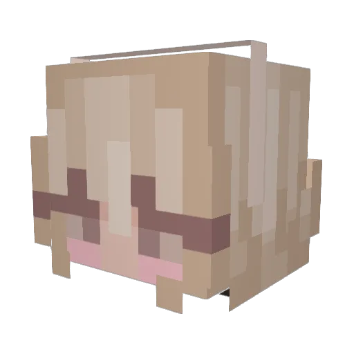 plutorose Minecraft avatar head, 3D render