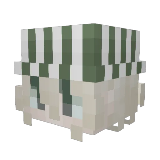 plutos_planett Minecraft avatar head, 3D render