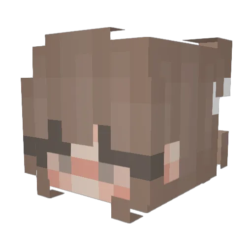 plutoxsun1 Minecraft avatar head, 3D render