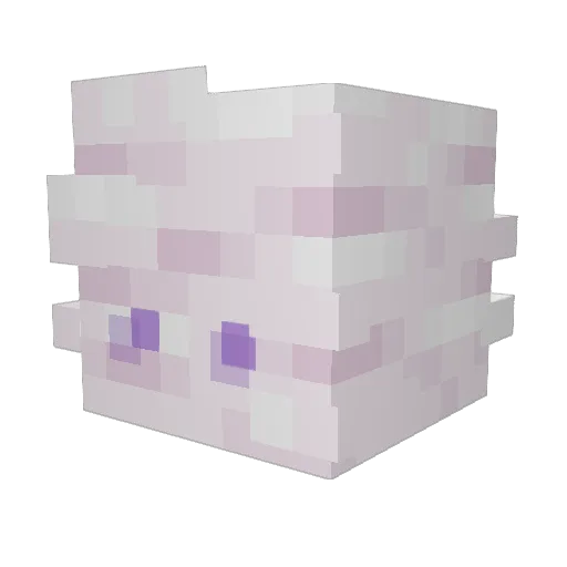 pluttx Minecraft avatar head, 3D render