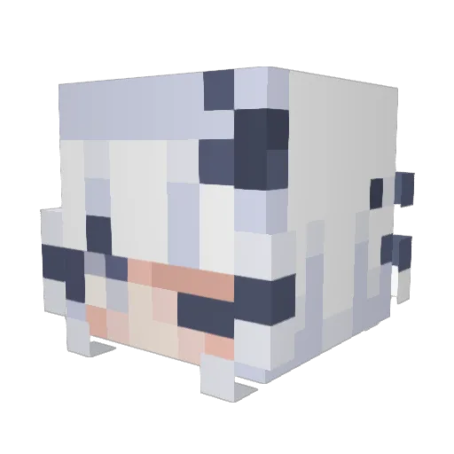 pluviomancer Minecraft avatar head, 3D render