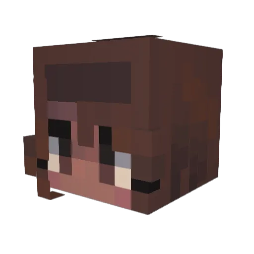 pluwart Minecraft avatar head, 3D render